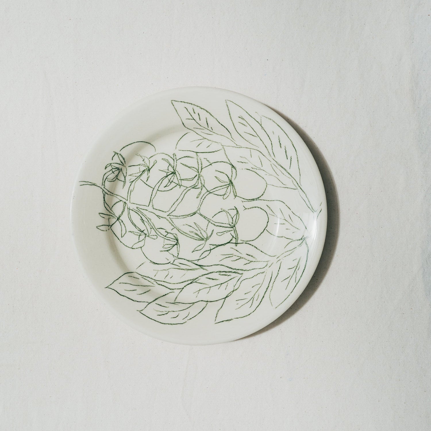 Plato de tomate y albahaca