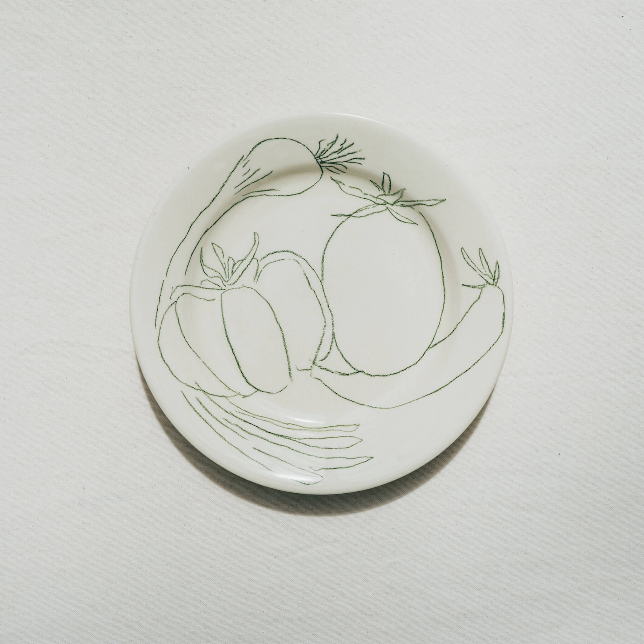 Assiette végétale Tomates et oignon frais