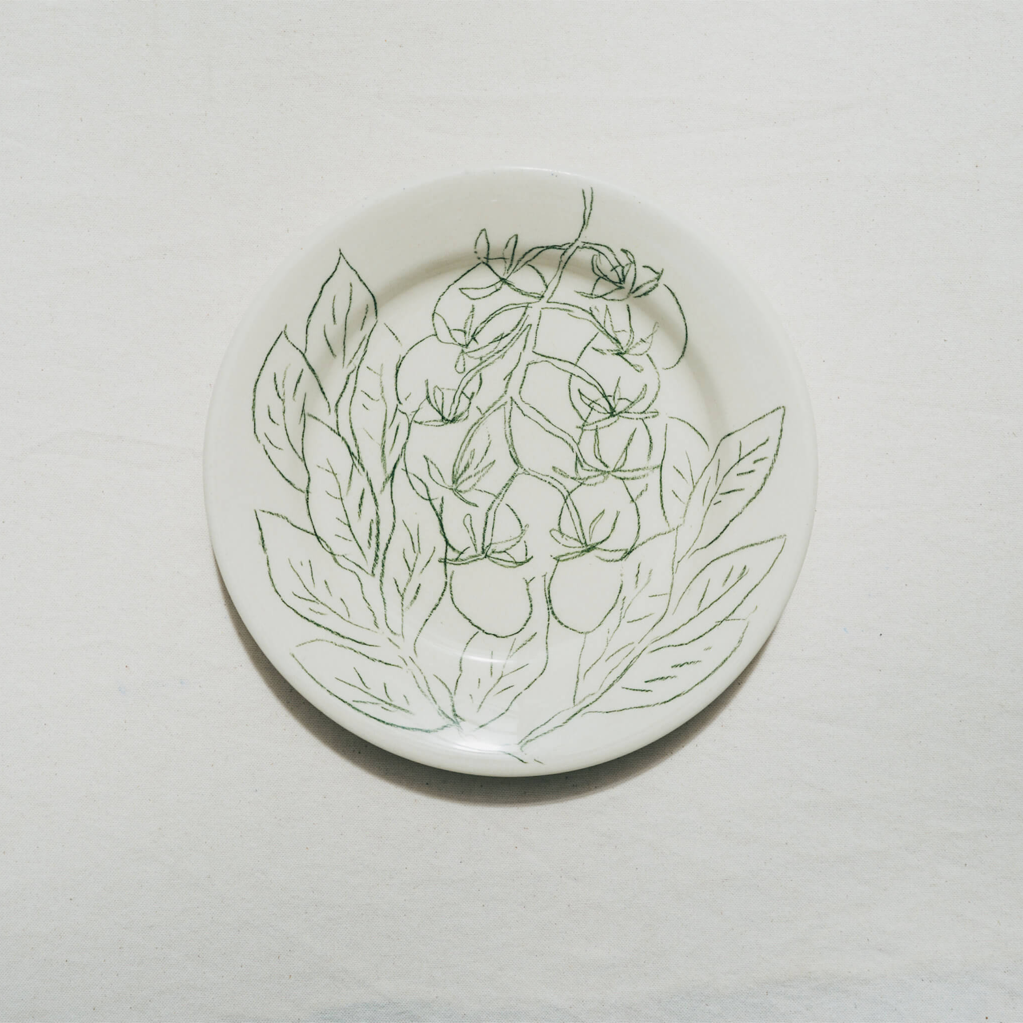 Assiette végétale Tomates cerises et basilic