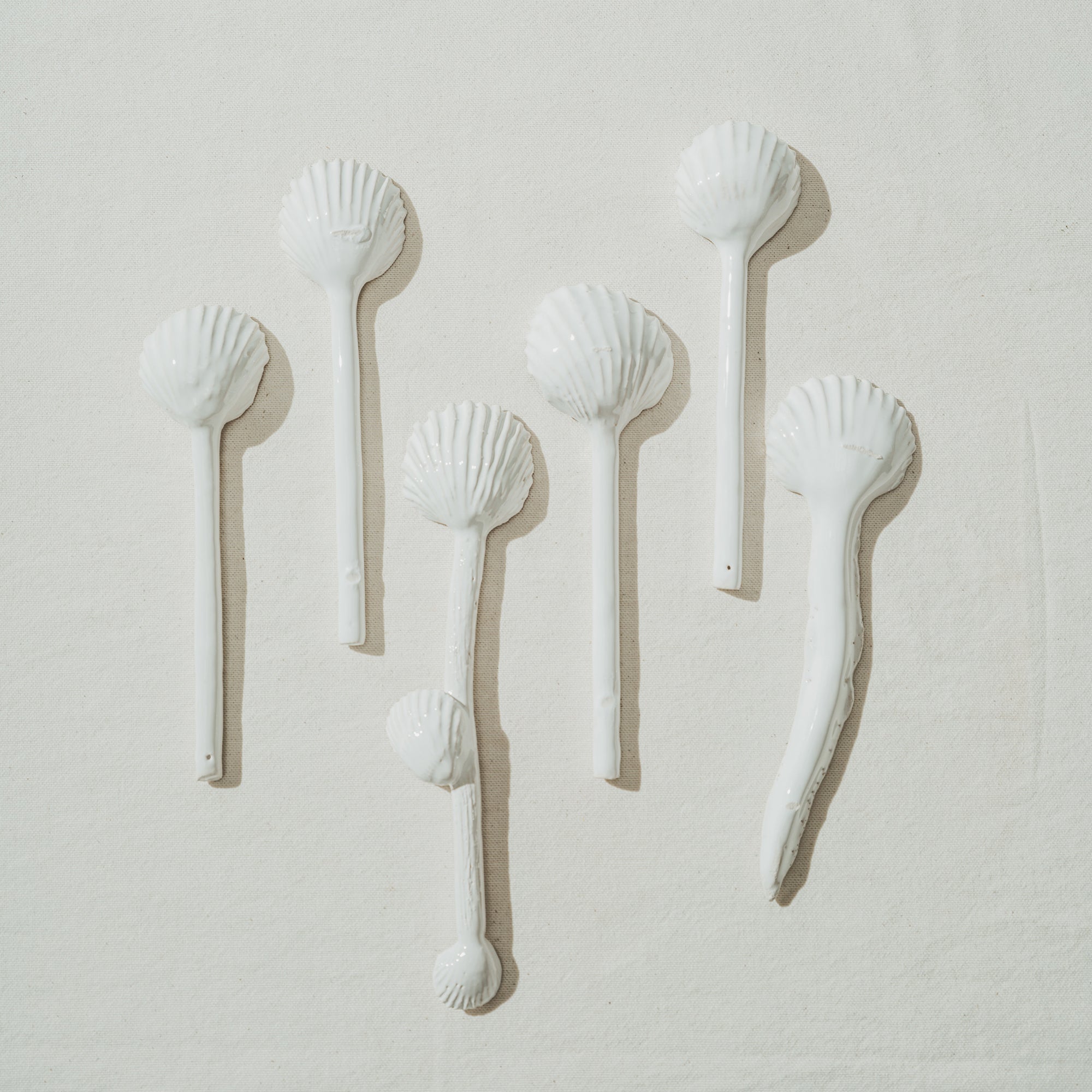Shellfish workshop