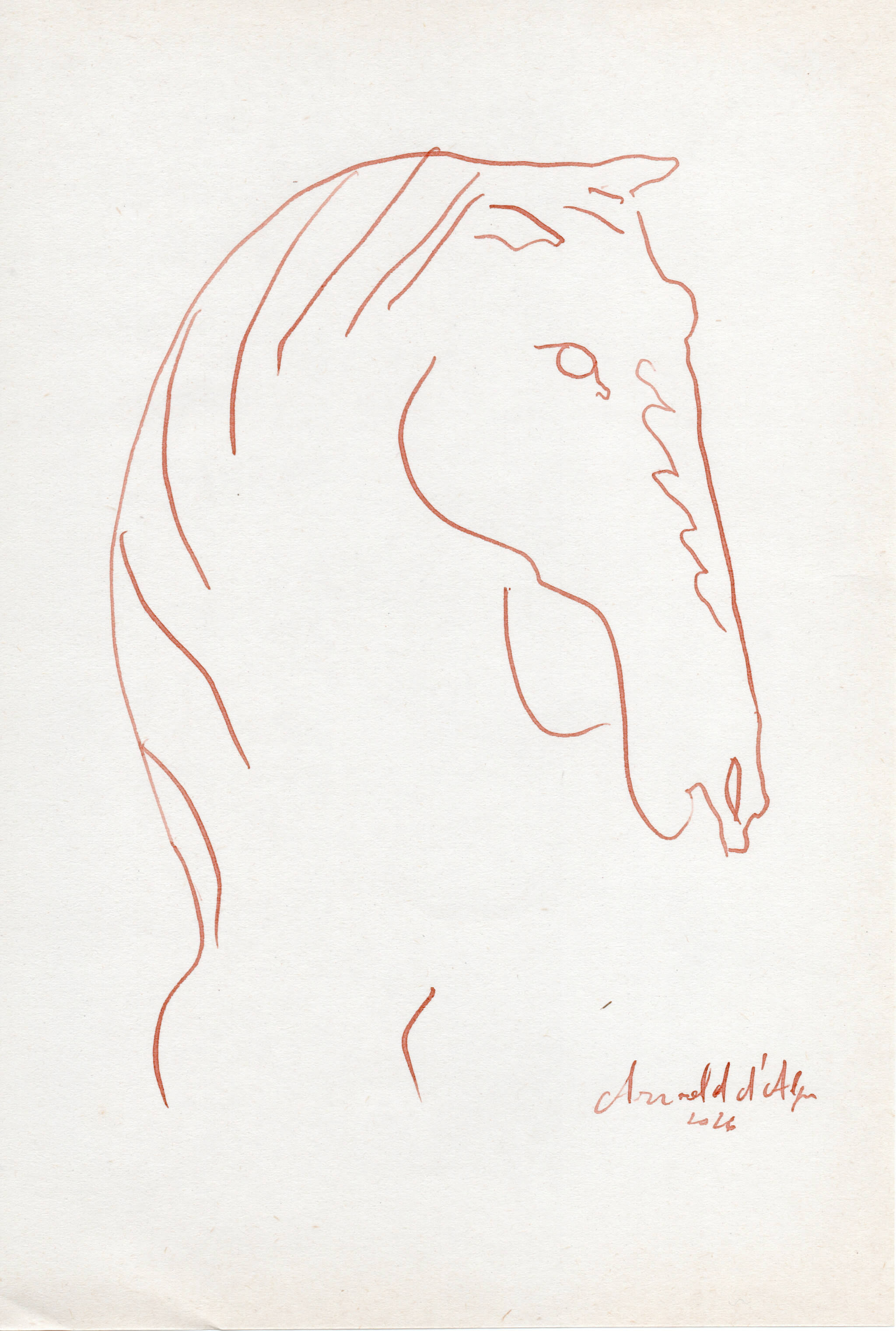 Dessin original Arnold d'Alger, issu de l’exposition Caballo de Fuego, Minorque 2026 - Encre sur papier, 2026 - Dimension : 15x21 cm