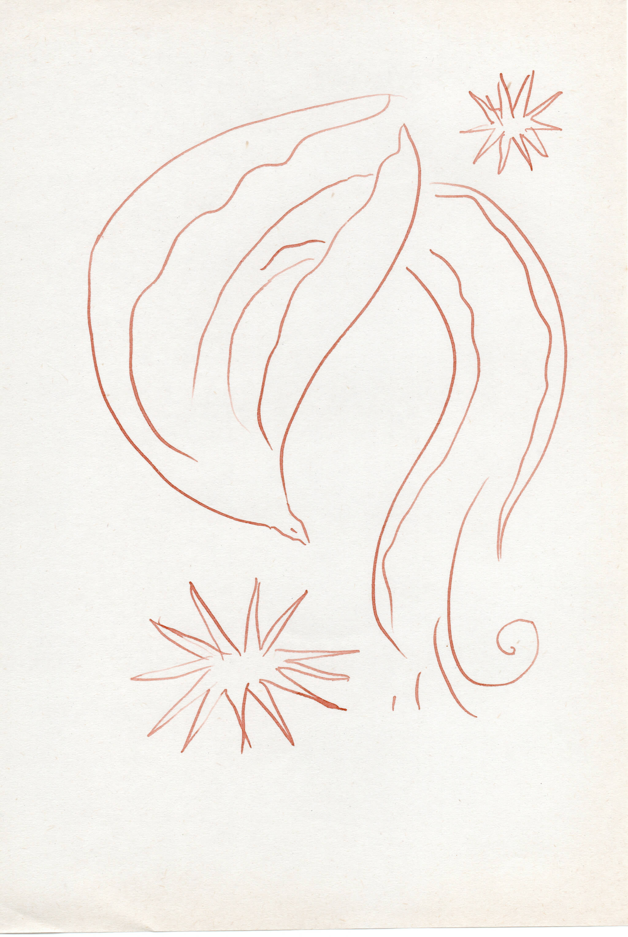 Dessin original Arnold d'Alger, issu de l’exposition Caballo de Fuego, Minorque 2026 - Encre sur papier, 2026 - Dimension : 15x21 cm