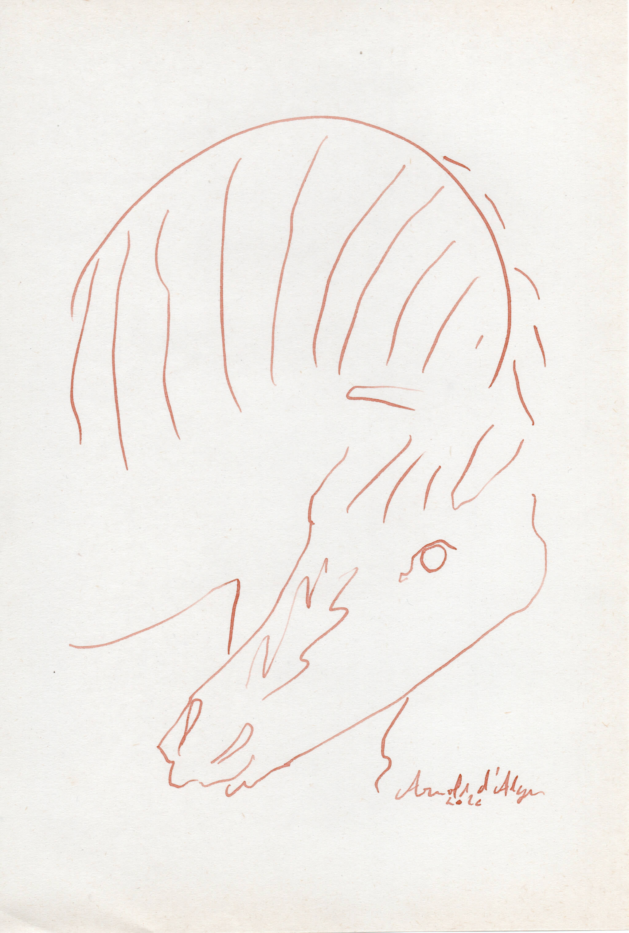 Dessin original Arnold d'Alger, issu de l’exposition Caballo de Fuego, Minorque 2026 - Encre sur papier, 2026 - Dimension : 15x21 cm