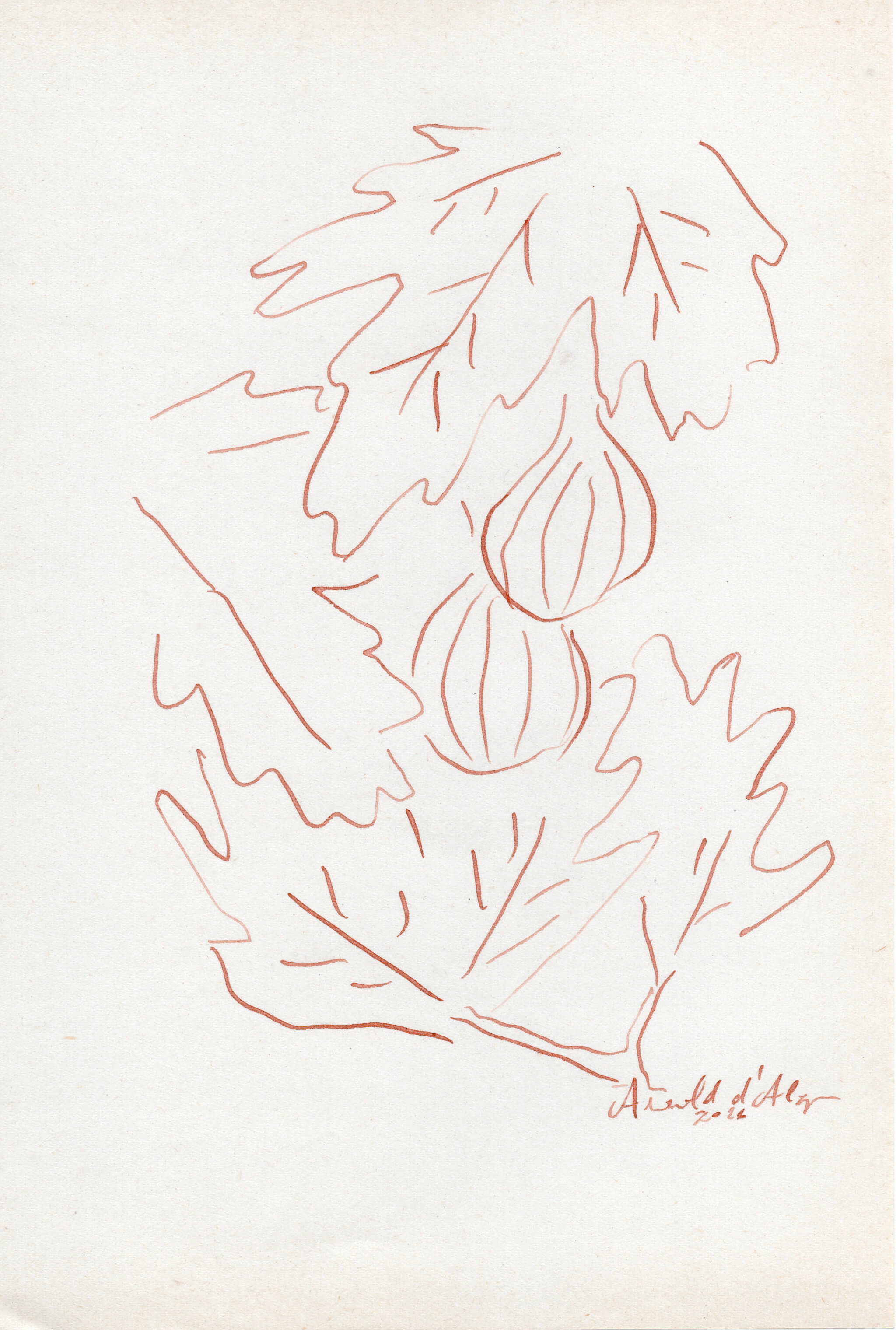 Dessin original Arnold d'Alger, issu de l’exposition Caballo de Fuego, Minorque 2026 - Encre sur papier, 2026 - Dimension : 15x21 cm